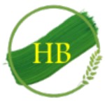 partner-image